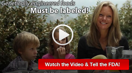 Tell the FDA to label genetically engineered foods!