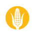 Feed Production - 149 million acres – half of all harvested U.S. cropland – are planted with grain for animal feed, requiring environmentally-damaging and energy-intensive resources like fertilizer, fuel, pesticides and water. Feed Production