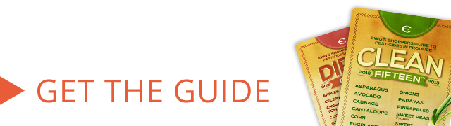Get the Guide