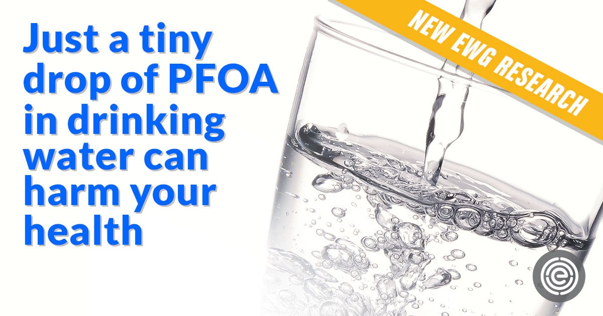 Teflon Chemical Harmful at Smallest Doses EWG
