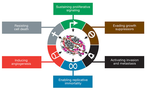 The six hallmarks of cancer from 2000.