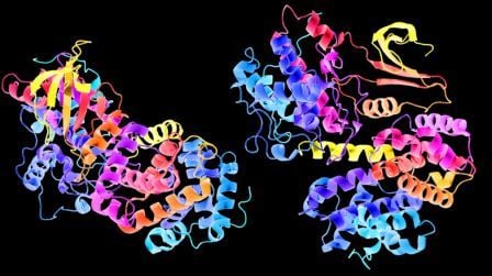 A 3D schematic representation of cyclin a protein