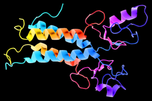 3D schematic representation of the BRCA1 protein