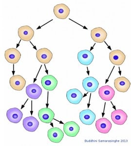 Graphic showing evolution of cancer cells