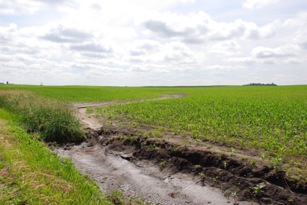 Picture of uncontrolled gully erosion.