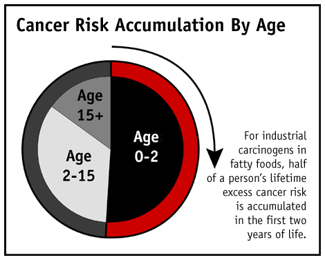 figure 2 - because children eat, drink and breathe more than adults relative to their size, their relative exposure to harmful pollutants is greater