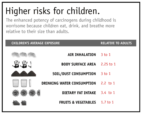 figure 2 - because children eat, drink and breathe more than adults relative to their size, their relative exposure to harmful pollutants is greater