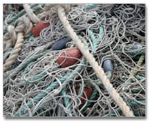 picture of fishing nets