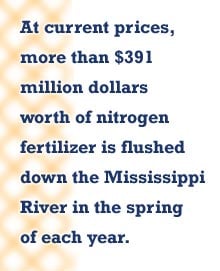 At current prices, more than $391 million dollars worth of nitrogen fertilizer is flushed down the Mississippi River in the spring each year
