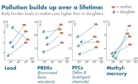 pollution builds up over a lifetime