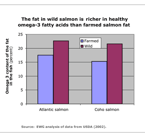 Wild salmon fat healthier than farmed salmon fat informational graphic