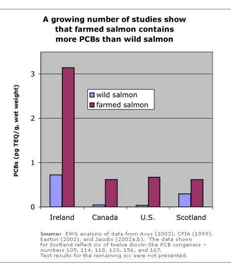 farmed salmon contains more PCBs than regular salmon informational graphic