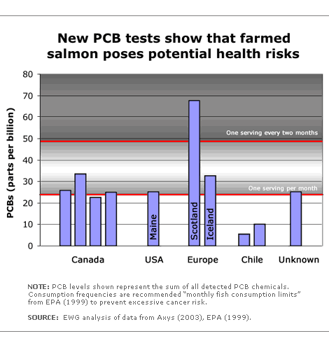 Farmed salmon poses a health risk informational graphic