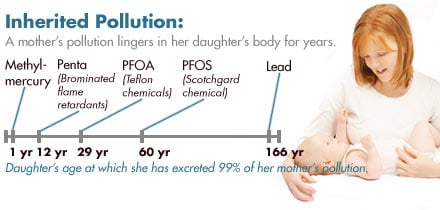 Timeline of inherited pollution