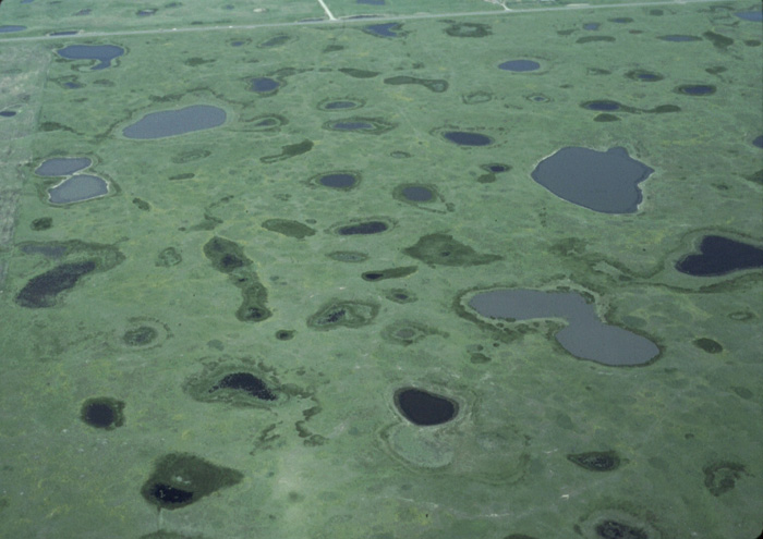The Prairie Pothole region is one of the most important wetland areas in the world