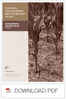 Report Cover Image