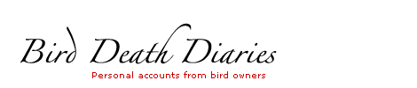 Bird Death Diary header