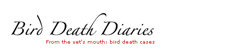 Bird Death Diary header