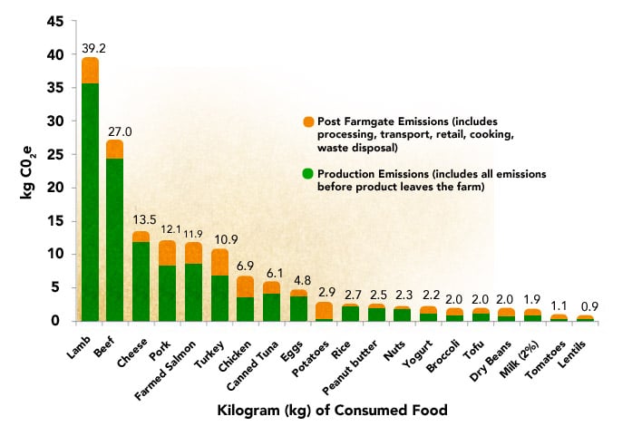 Protein In Plants Vs Meat Chart