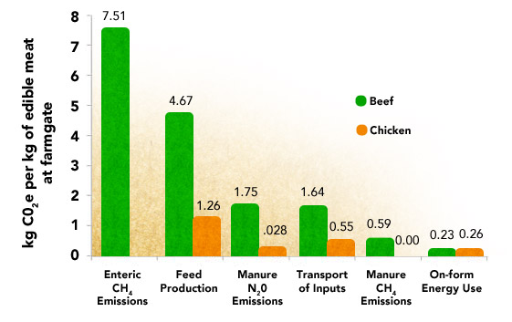 The Impacts 11 Meat Eaters Guide Meat Eater S Guide To Climate Change Health Environmental Working Group