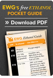 download wallet guide