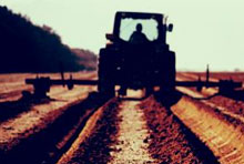Plowed Under