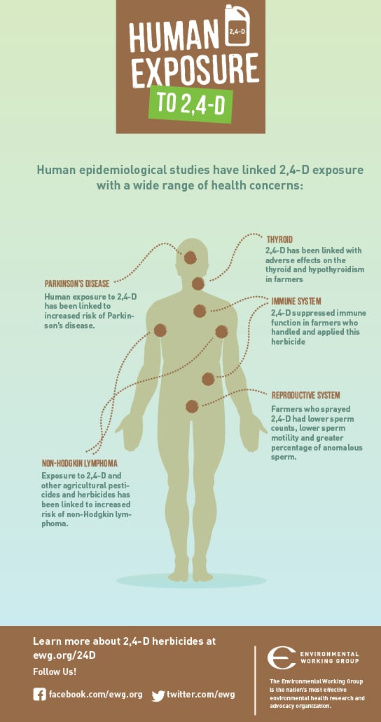 Human exposure to 2,4-D.  Human epidemiological studies have linked 2,4-D exposure with a wide range of health concerns.