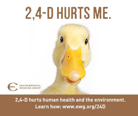 2,4-D Hurts me - picture of baby duck