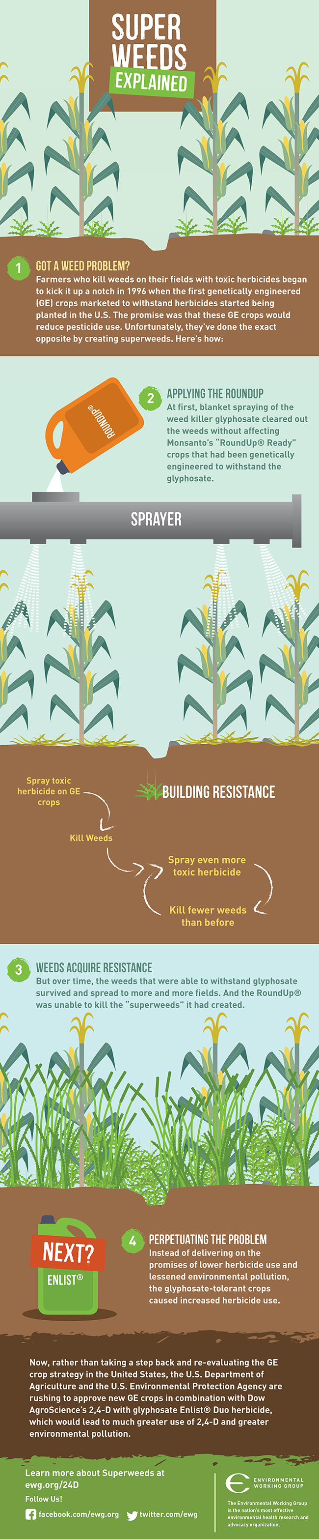 Infographic explaining super weeds