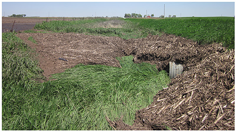 Crop residue and soil washed off this field and filled up the roadside ditch.