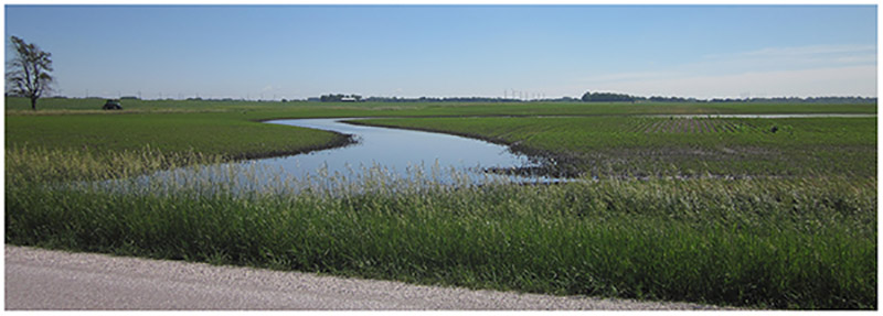 A large gully the size of a small river formed and holds standing water atop an emerging corn field.