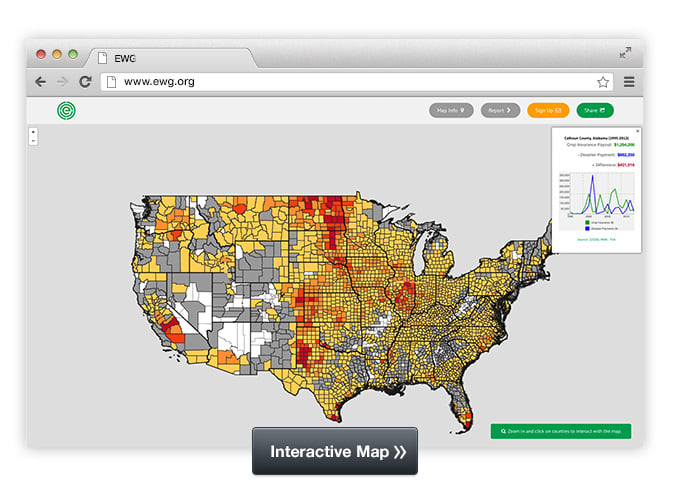 Interactive Map