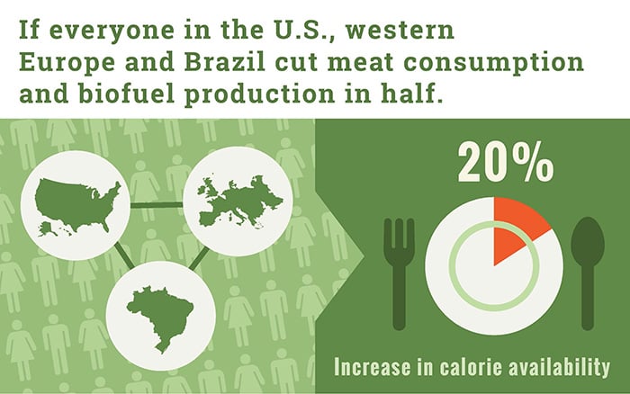 If everyone in the U.S., western Europe and Brazil cut meat consumption and biofuel procduciton in half.