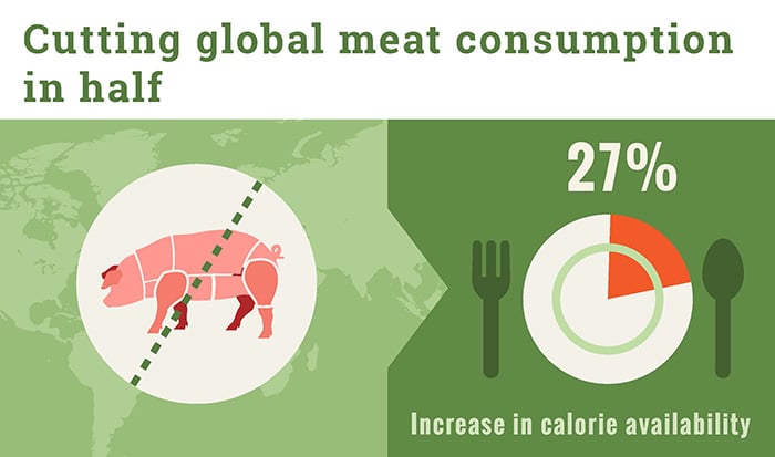 Cutting global meat consumption in half