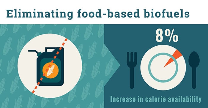 Eliminating food-based biofuels