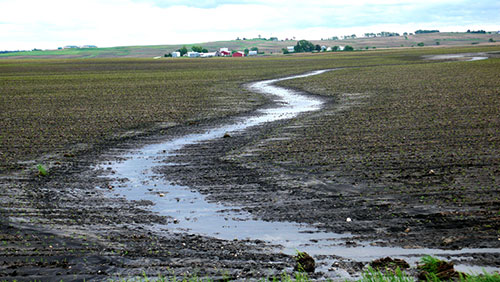 Picture showing temporary gully