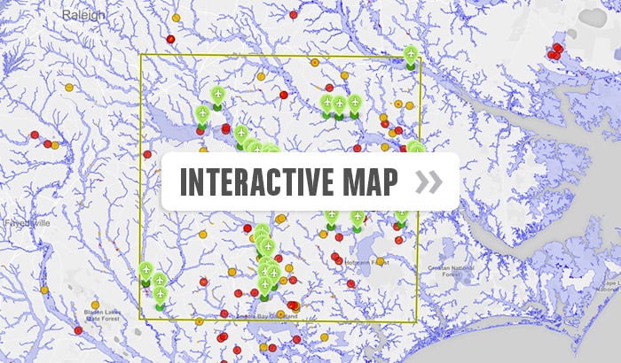 Interactive Map Link