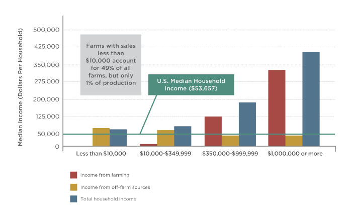 Chart showing ninety percent of farms are small and depend mostly on off-farm income.