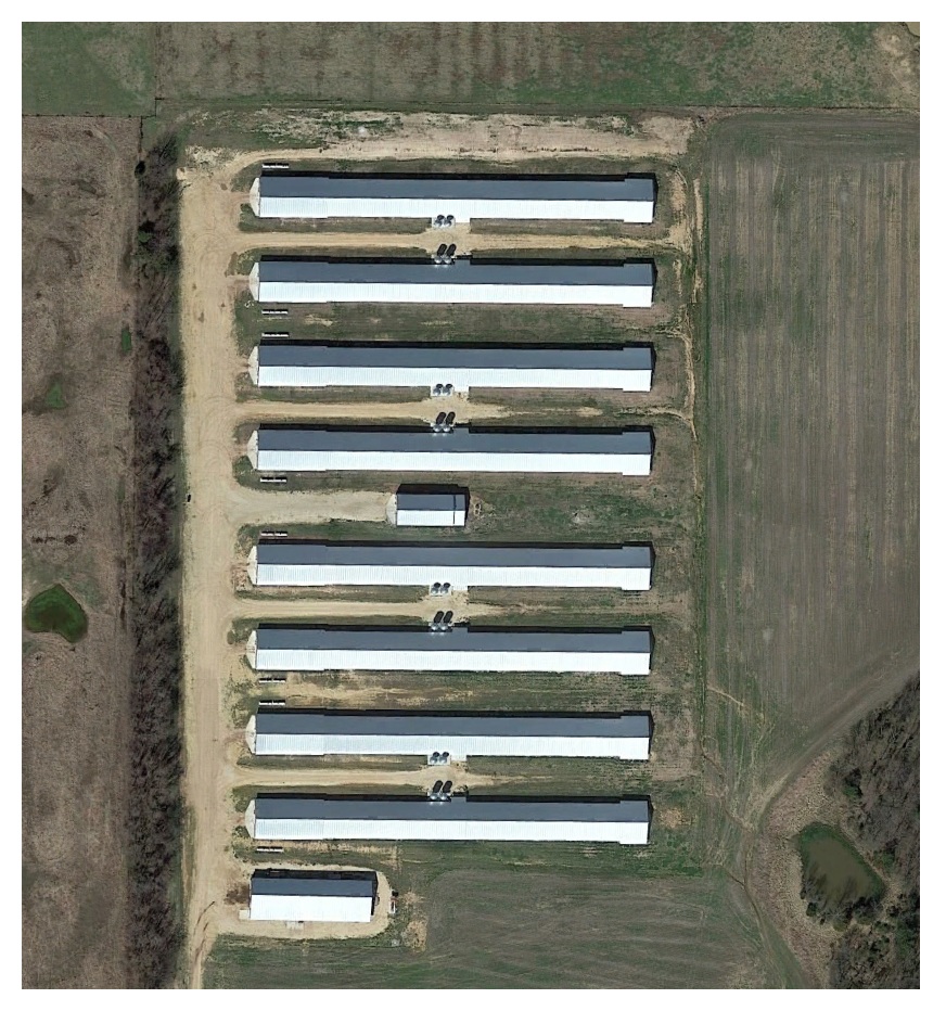 Picture of poultry barns