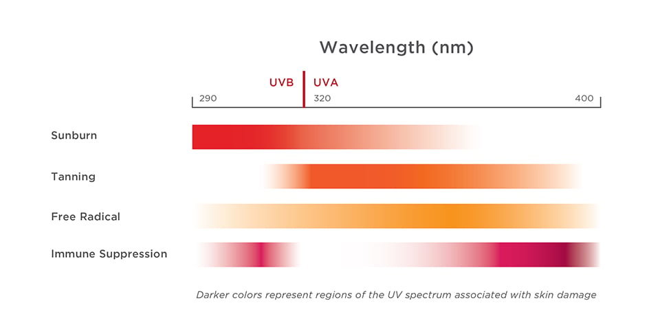 ewg sunscreen guide 2015 pdf