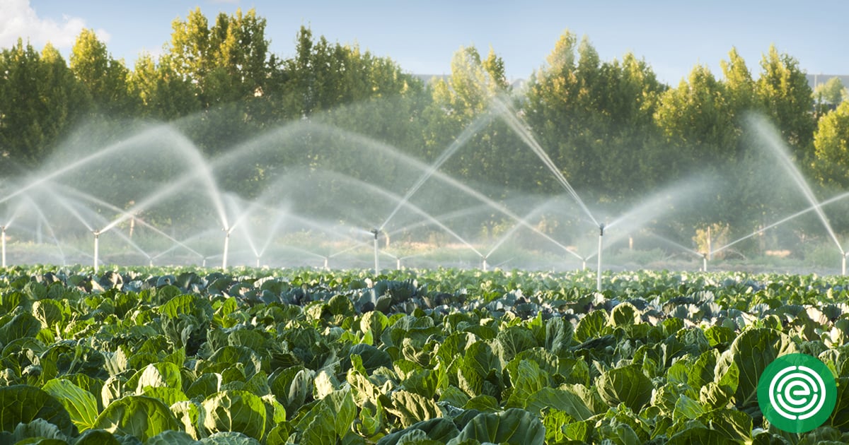 EWG Tap Water Database How farm pollution goes from the field to your