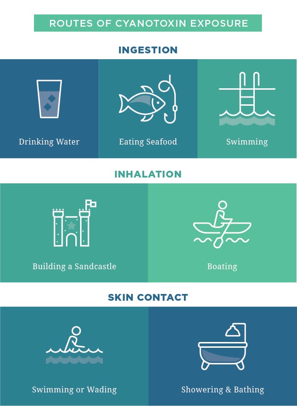 Routes of cyanotoxin exposure