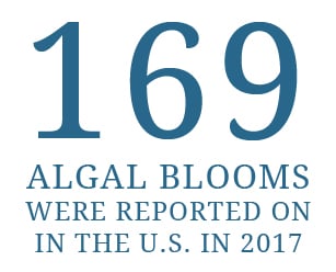 169 Algal blooms were reported on in the U.S. in 2017