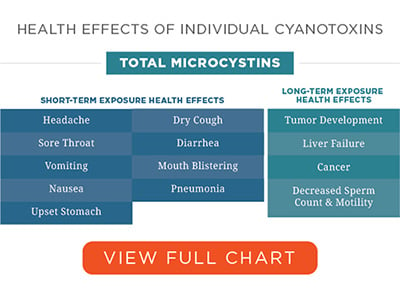 Health Effects of cyanotoxins