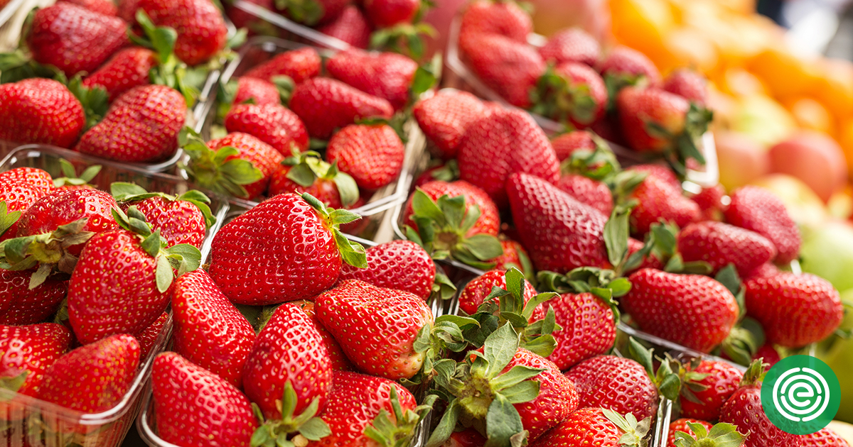 ewg-s-2018-shopper-s-guide-to-pesticides-in-produce-strawberries