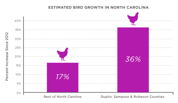 Bar chart showing growth of poultry farms