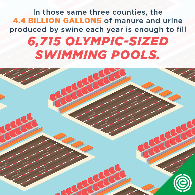 Hogs in 3 North Carolina counties could fill 6,715 Olypic-sized pools each year with urine and manure