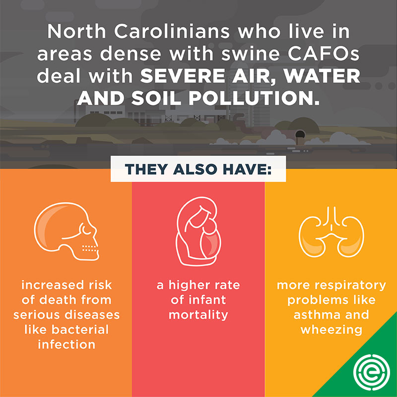 North Carolinians who live in areas dense with swine CAFOs deal with severe air, water, and soil pollution