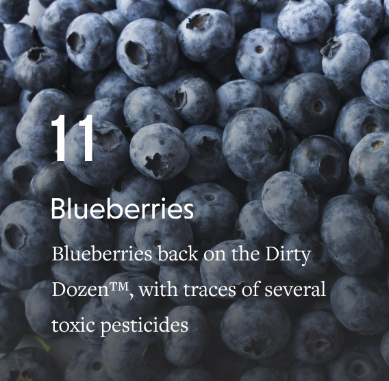 EWG s 2024 Shopper s Guide To Pesticides In Produce Dirty Dozen