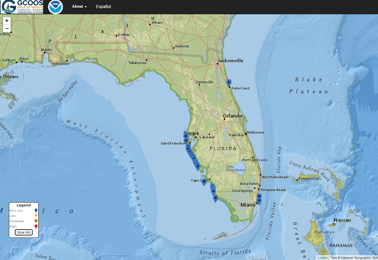 As "red tides" bloom, citizen scientists help map ocean danger zones